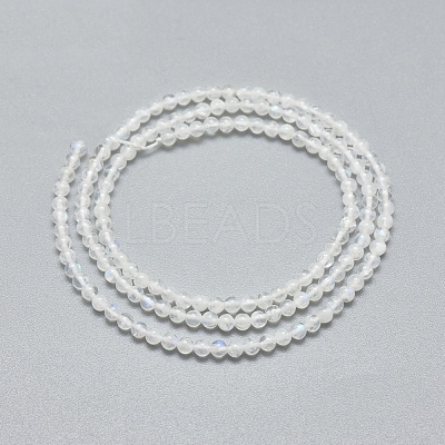 Natural Rainbow Moonstone Beads Strands G-A177-04-23-1