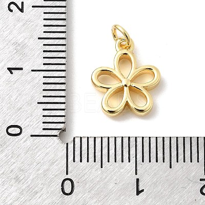 Brass Pendants KK-Z135-13A-G-1