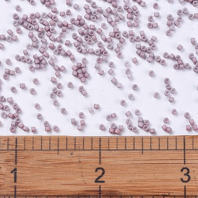 MIYUKI Delica Beads SEED-X0054-DB0379-1