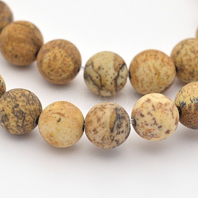Natural Picture Jasper Beads Strands G-D659-8mm-1