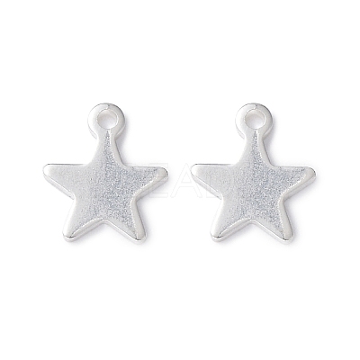 304 Stainless Steel Charms X-STAS-L234-069S-1