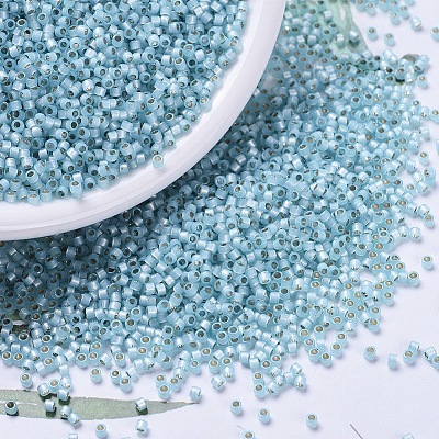 MIYUKI Delica Beads X-SEED-J020-DB0628-1