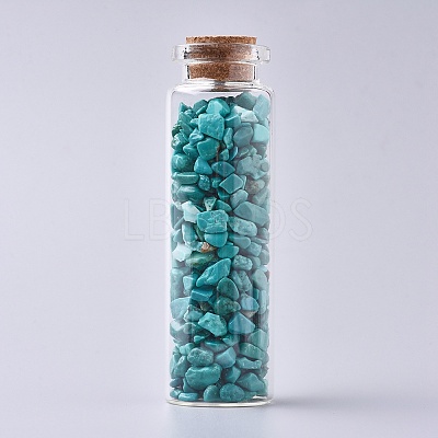 Glass Wishing Bottle DJEW-L013-A18-1