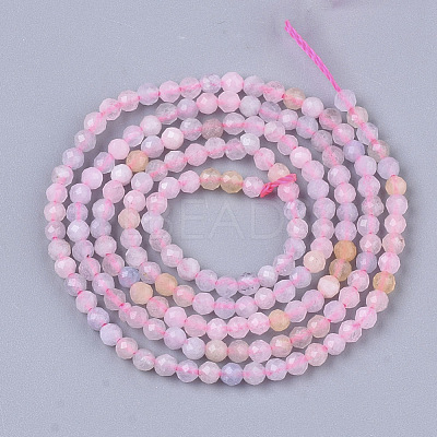 Natural Morganite Beads Strands G-S361-2mm-021-1