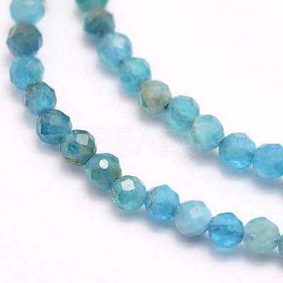 Natural Apatite Beads Strands G-F509-17-3mm-1