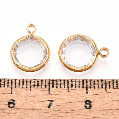 K9 Glass Charms GLAA-T023-37A-02-1