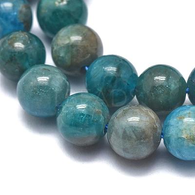Natural Apatite Beads Strands G-F617-01-10mm-1