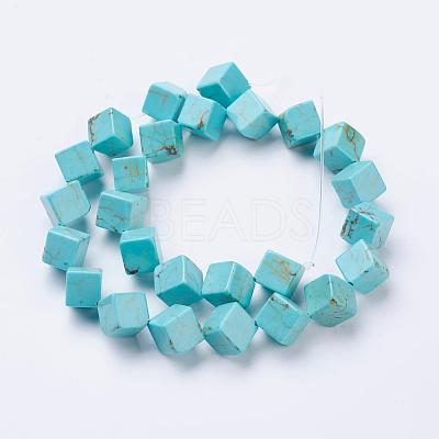Natural Magnesite Beads Strands TURQ-K003-20B-1