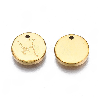 316 Surgical Stainless Steel Charms STAS-S116-418G-G-1