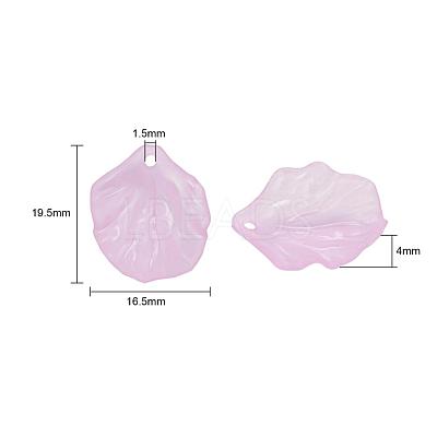 Transparent Frosted Acrylic Pendants X-MACR-S371-01A-1