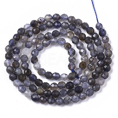 Natural Iolite/Cordierite/Dichroite Beads Strands G-R460-021-1