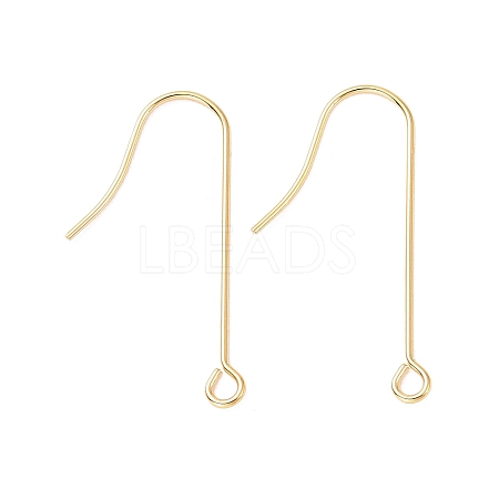 316 Surgical Stainless Steel Earring Hooks X-STAS-E027-02B-G-1