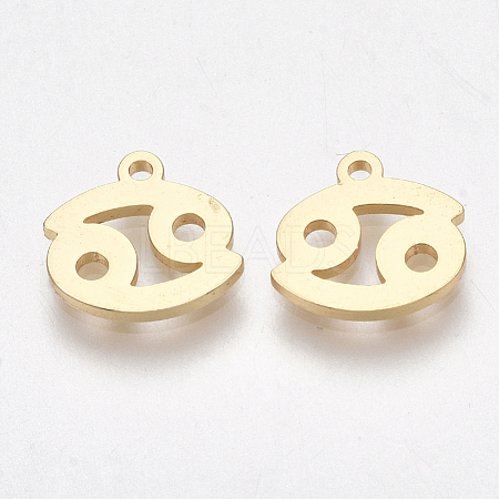 Ion Plating(IP) 304 Stainless Steel Charms X-STAS-S107-06J-1