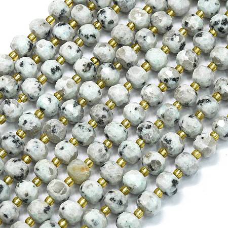 Natural Sesame Jasper Beads Strands G-K389-E14-01-1