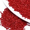 FGB 11/0 Grade A Glass Seed Beads SEED-S030-1016-1