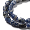 Natural Blue Spot Jasper Beads Strands G-P520-B21-01-4