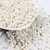 Glass Seed Beads SEED-L011-04A-21-1