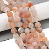 Natural Red Agate Beads Strands G-A248-A03-01-1