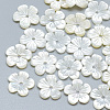 Natural White Shell Beads SSHEL-S260-059B-1
