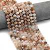 Natural Black Gold Rutilated Quartz Beads Strands G-P573-A16-01-1