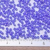 MIYUKI Round Rocailles Beads SEED-X0054-RR0483-4