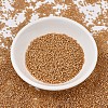 MIYUKI Delica Beads SEED-MY11-DB1778-2