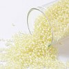 TOHO Round Seed Beads SEED-JPTR15-0182-1
