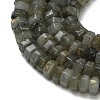Natural Labradorite Beads Strands G-G317-A10-3x6mm-4
