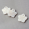 Sea Shell Pendants X-SSHEL-Q296-15-1