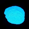 Nail Art Luminous Powder MRMJ-M003-01B-4