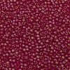 TOHO 11/0 Round Beads X-SEED-TR11-0165BF-2