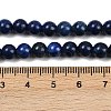 Natural Lapis Lazuli Beads Strands G-OC0001-77-3