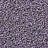 MIYUKI Delica Beads SEED-MY11-DB1065-3