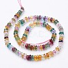Glass Beads Strands GF3x6mm-5-6