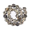 Natural Dalmatian Jasper Beads Strands G-N368-01A-03-3