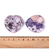 Natural Lepidolite Thumb Worry Stone G-N0325-01D-01-3