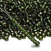 TOHO 6/0 Round Beads X-SEED-TR06-0037-2