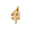 304 Stainless Steel Charms LS-STAS-R001-04G-09-1