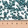 Glass Seed Beads SEED-L011-02A-06-4