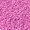 Baking Paint Glass Seed Beads SEED-P006-03A-03-3