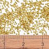 MIYUKI Delica Beads SEED-MY11-DB2157-4
