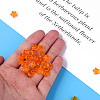 Transparent Acrylic Beads MACR-S373-45-B16-3