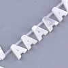 Natural Sea Shell Beads SHEL-T012-60A-2