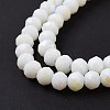 Electroplate Opaque Solid Color Glass Beads Strands LS-EGLA-A044-P1mm-L01-4