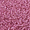 MIYUKI Round Rocailles Beads SEED-X0054-RR0556-3
