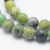 Natural Serpentine Beads Strands G-E489-02A-6mm-1
