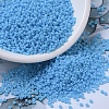 MIYUKI Round Rocailles Beads SEED-X0054-RR0413-1