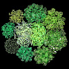 600Pcs 10 Styles Transparent Acrylic Pendants OACR-PA0001-49-1