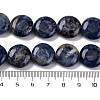Natural Sodalite Beads Strands G-C159-A09-01-5