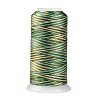 Segment Dyed Round Polyester Sewing Thread OCOR-Z001-B-13-1